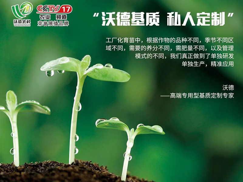沃德農科視頻